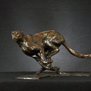 Turning Cheetah