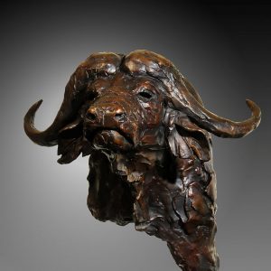 Buffalo Bust